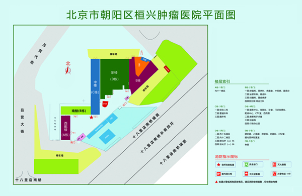 男的鸡插入女的阴视频北京市朝阳区桓兴肿瘤医院平面图